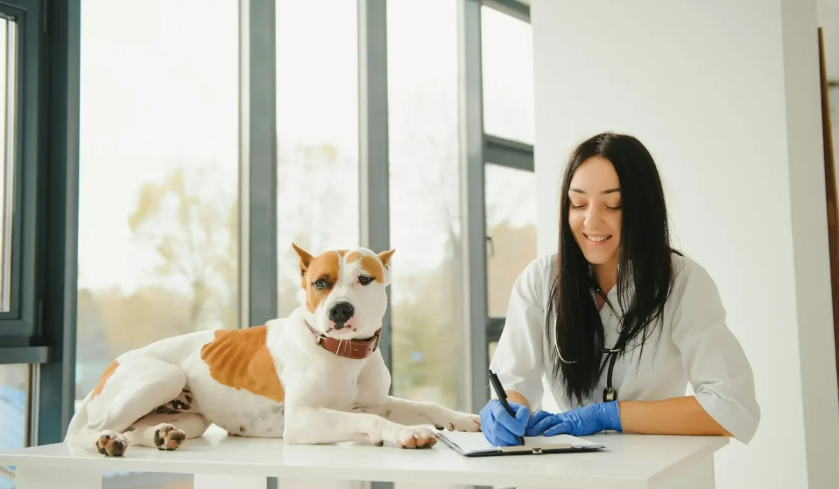 Kedilerde ve Köpeklerde Cilt Problemleri